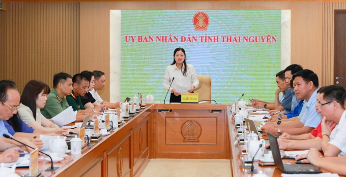 Tăng tốc chuẩn bị Festival Trà Quốc tế năm 2026