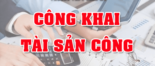 Quyết định về việc Công khai hình thành tài sản công và tình hình sử dụng, xử lý tài sản công năm 2025